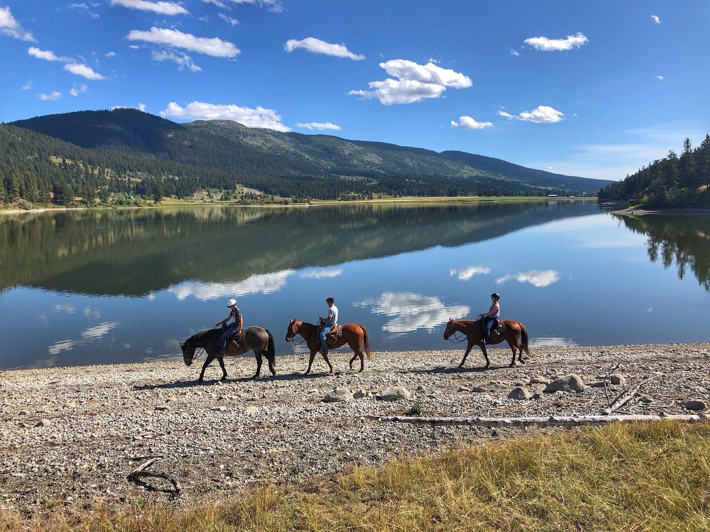 workaway, helpx, food and accommodation, volunteering, volunteer, hospitality exchange, free accommodation, horses, ranch, farm, horsemanship, riding a horse, Canada